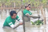 Gerakan Energy For Good, komitmen Nestle lestarikan lingkungan