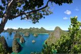 Artikel - Pengaruh Raja Ampat di episentrum segitiga terumbu karang dunia