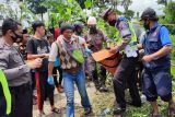 Truk masuk jurang di jalur Temanggung renggut dua jiwa