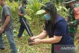 Semua Koramil di Sangihe  melaksanakan penanaman sejuta pohon