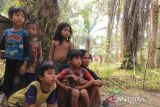 Jenjang pendidikan anak rimba Suku Anak Dalam sangat rendah, rata-rata hanya sampai SD