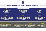 Kasus harian COVID-19 di Indonesia turun 217