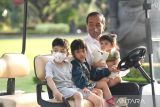 Presiden Jokowi isi Lebaran bermain bersama cucu-cucu