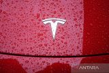 Ini penyebab Tesla dengan autopilot akan ditarik kembali