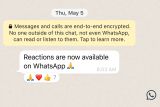 WhatsApp hadirkan fitur baru emoji reaksi dan kirim berkas hingga 2GB