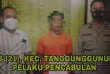 Polisi tangkap pelaku pencabulan anak bawah umur