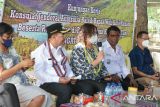 Australia bantu pemberdayaan petani sayur di Kota Kupang