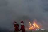 Luas kebakaran hutan dan lahan di Sumsel meningkat pada 2022