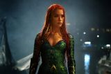 DC Films berencana mengganti Amber  Heard di 