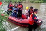 3 Hari pencarian, Tim SAR temukan korban penerkaman buaya di Koltim