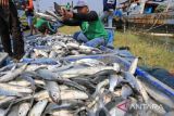 BRIN meneliti efek logam seng atas biota laut di Teluk Jakarta