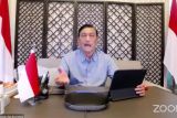 Luhut harap pasokan dan harga minyak goreng membaik dalam tiga pekan