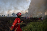 Tiga kabupaten di Tanah Air jadi proyek pencegahan karhutla berbasis klaster