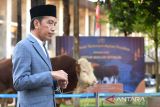 Jokowi: Pengganti mendiang Tjahjo Kumolo masih dalam proses