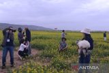 Bertandang ke dataran tinggi Tibet hilangkan rasa lelah