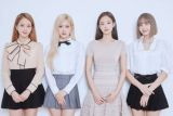 Group BLACKPINK bersiap rilis 