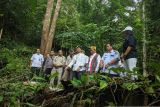 BKSDA lepas liarkan burung kacer di Gunung Poteng Singkawang