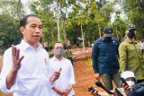 Presiden Jokowi: Penugasan perwira aktif TNI di kementerian/lembaga belum mendesak