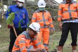 PT Semen Padang kembali hijaukan area pabrik