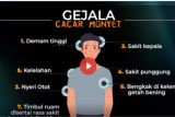 Kenali Gejala dan Cara Pencegahan Penularan Cacar Monyet