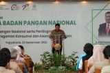 Bapanas: Penganekaragaman pangan alternatif penting hadapi krisis