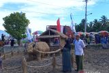 Sejumlah pengunjung manfaatkan hiasan jerami untuk berfoto di acara Rang Solok Baralek Gadang