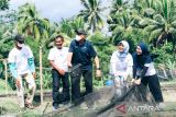 Komisaris PLN Apresiasi Program Budidaya Ikan Wader di Yogyakarta Binaan PLN bersama UGM