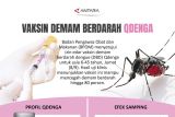 Vaksin demam berdarah Qdenga