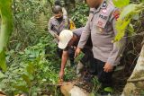 BKSDA selidiki kematian belasan kambing milik warga