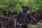 Tokoh masyarakat membantu perbanyak bibit Mangrove