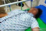 Kadispora Papua Barat dipolisikan diduga menganiaya tiga wanita