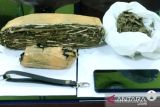 Penyelundupan 15,7 kilogram ganja digagalkan