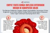 Empat Fakta Bunga Raflesia Ditemukan Mekar di Kabupaten Solok
