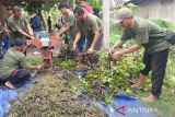 Eceng Gondok, Energi alternatif di tepian Waduk Cengklik