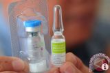 Pemerintah sediakan vaksin meningitis di 1.200 faskes Indonesia