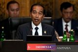 Pengamat China lihat gejala RI sebagai kekuatan global baru