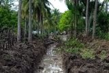 BPBD TTS lakukan langkah mitigasi pada lokasi  berpotensi banjir