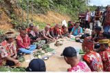 Begini ritual tolak bala Suku Dayak dan Melayu