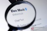 Elon Musk : Apple tidak pernah berniat hapus Twitter