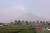 Gunung Semeru masih meluncurkan awan panas guguran