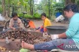 JBI dorong petani di OKU Selatan budi daya pinang gajah