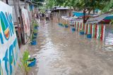 Seratusan rumah warga pulau di Kota Makassar teredam banjir rob