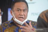 Rachmat Gobel:  Pembatasan pengiriman sapi antarpulau perlu kaji ulang