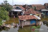 Jumlah pengungsi banjir Kudus terus bertambah