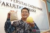 Dekan Fakultas Biologi UGM berhasil perkecil buah melon jadi seukuran apel