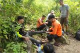 Dua pendaki tersesat di Gunung Lamongan