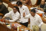 Menteri ESDM memastikan skema 