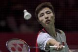 Pebulu tangkis China isi semua sektor di final Indonesia Open 2024