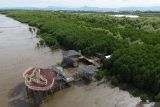 Hutan mangrove simpan potensi karbon biru untuk mengurangi emisi