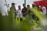 KSAD sebut  Agrowisata Tekno-44 solusi permanen tanggulangi Karhutla